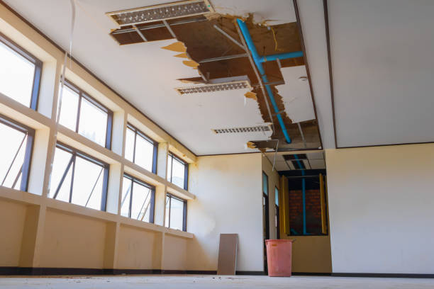 Best 24-hour water damage restoration  in Cedar Point, NC