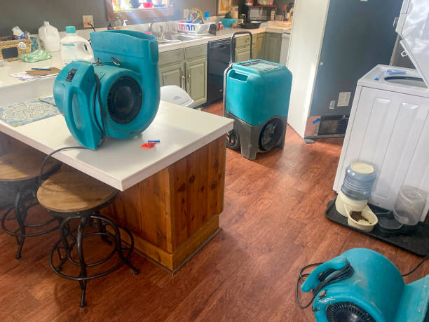 Best Professional water damage repair  in Cedar Point, NC