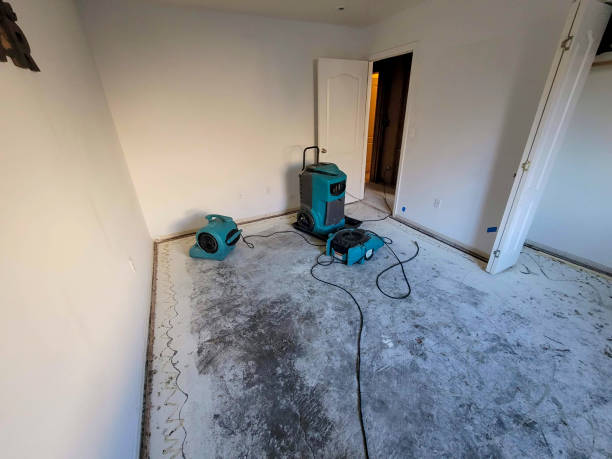 Local water damage restoration in Cedar Point, NC