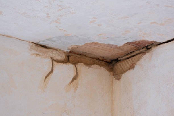 Best Fire Damage Restoration  in Cedar Point, NC