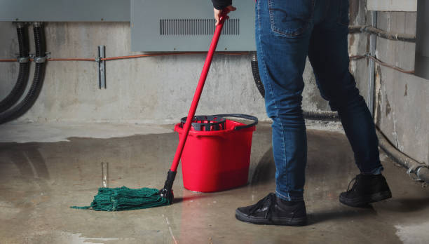 Best Sewage cleanup and water damage restoration  in Cedar Point, NC