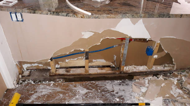 Best Local water damage restoration  in Cedar Point, NC