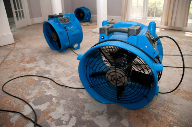 Best Flooded house restoration  in Cedar Point, NC