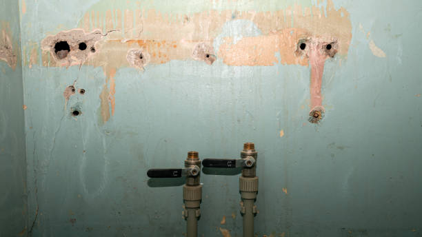 Best Local water damage restoration  in Cedar Point, NC