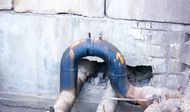 Best Water damage repair service  in Cedar Point, NC