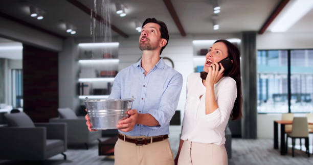 Best Professional water damage repair  in Cedar Point, NC