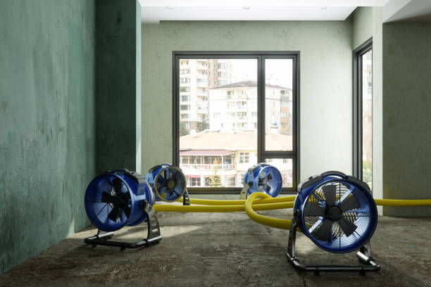 Best 24/7 water damage repair  in Cedar Point, NC