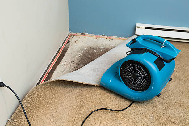 Best Sewage cleanup and water damage restoration  in Cedar Point, NC